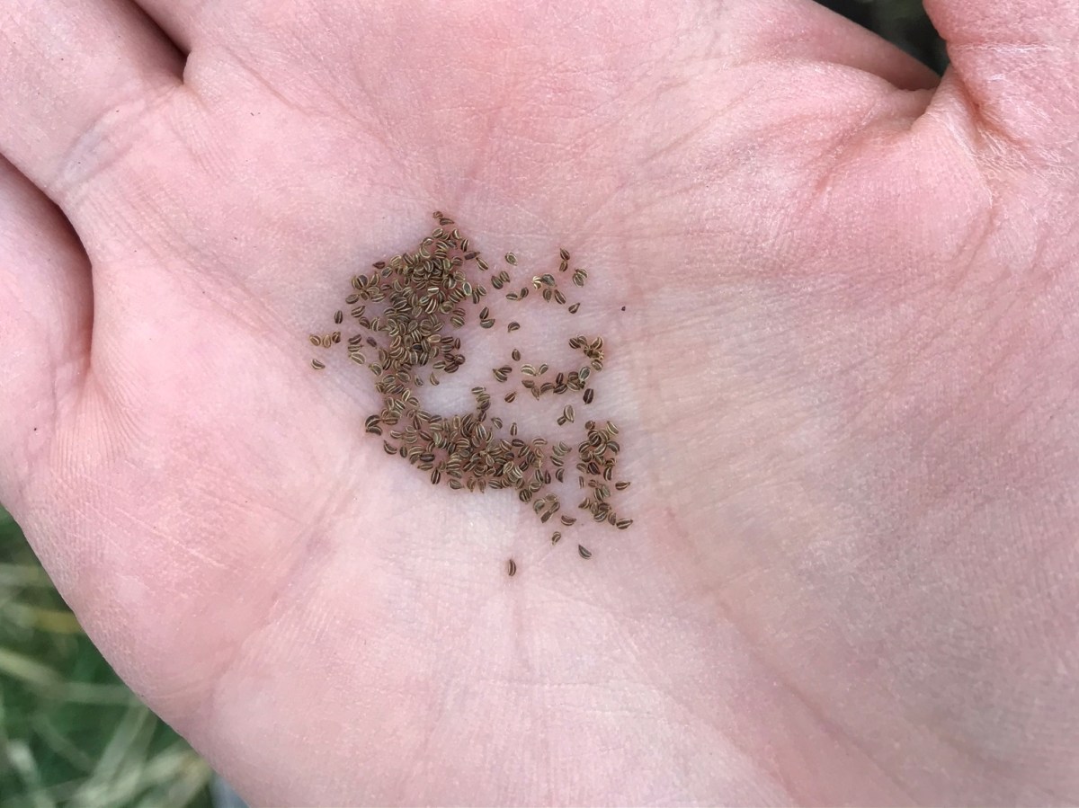 16/04/22 – Atelier de jardinage : Faire ses&nbsp;semis