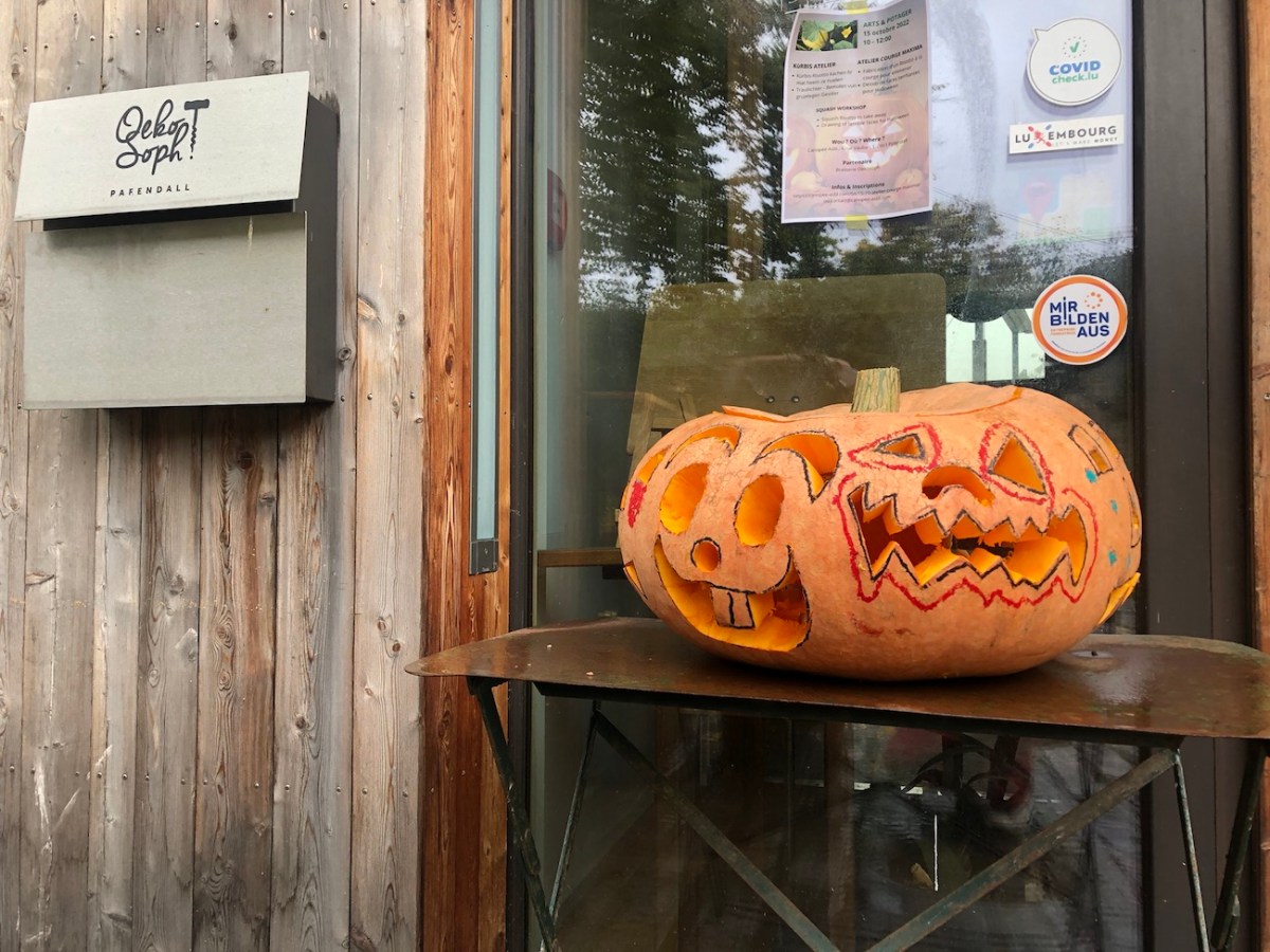 Atelier Courge Maxima – Retour en&nbsp;images