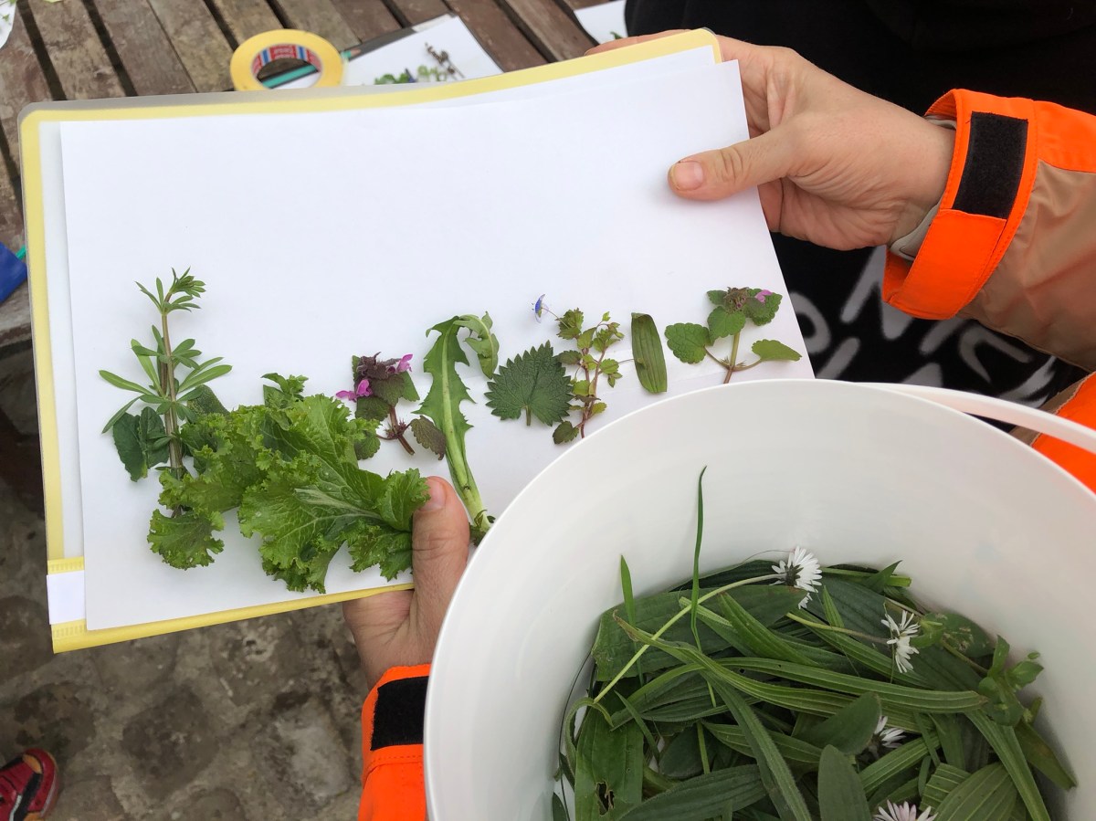 23/03/23 – Atelier : Herboristerie – Retour en&nbsp;images