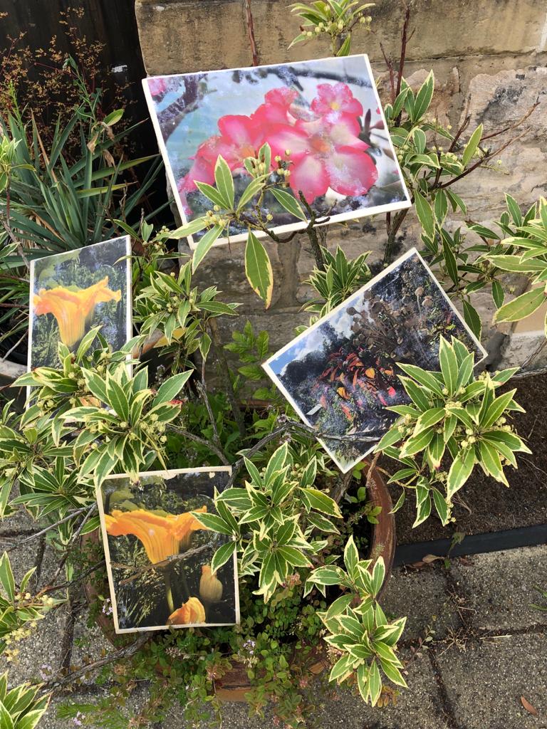 17/07/23 – Atelier Fototransfer sur bois – Anna Krieps – Retour en&nbsp;images