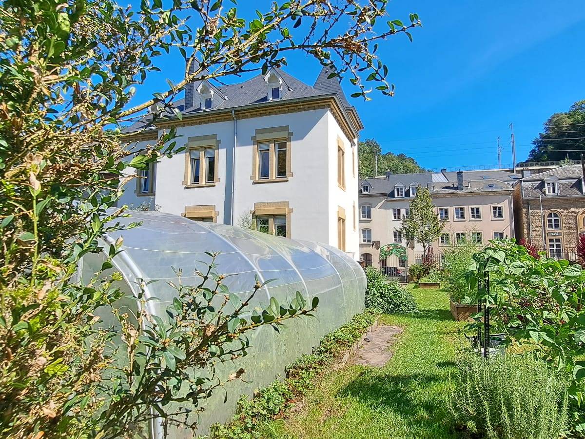 22/09/24 – Canopée @ Oekofest&nbsp;2024