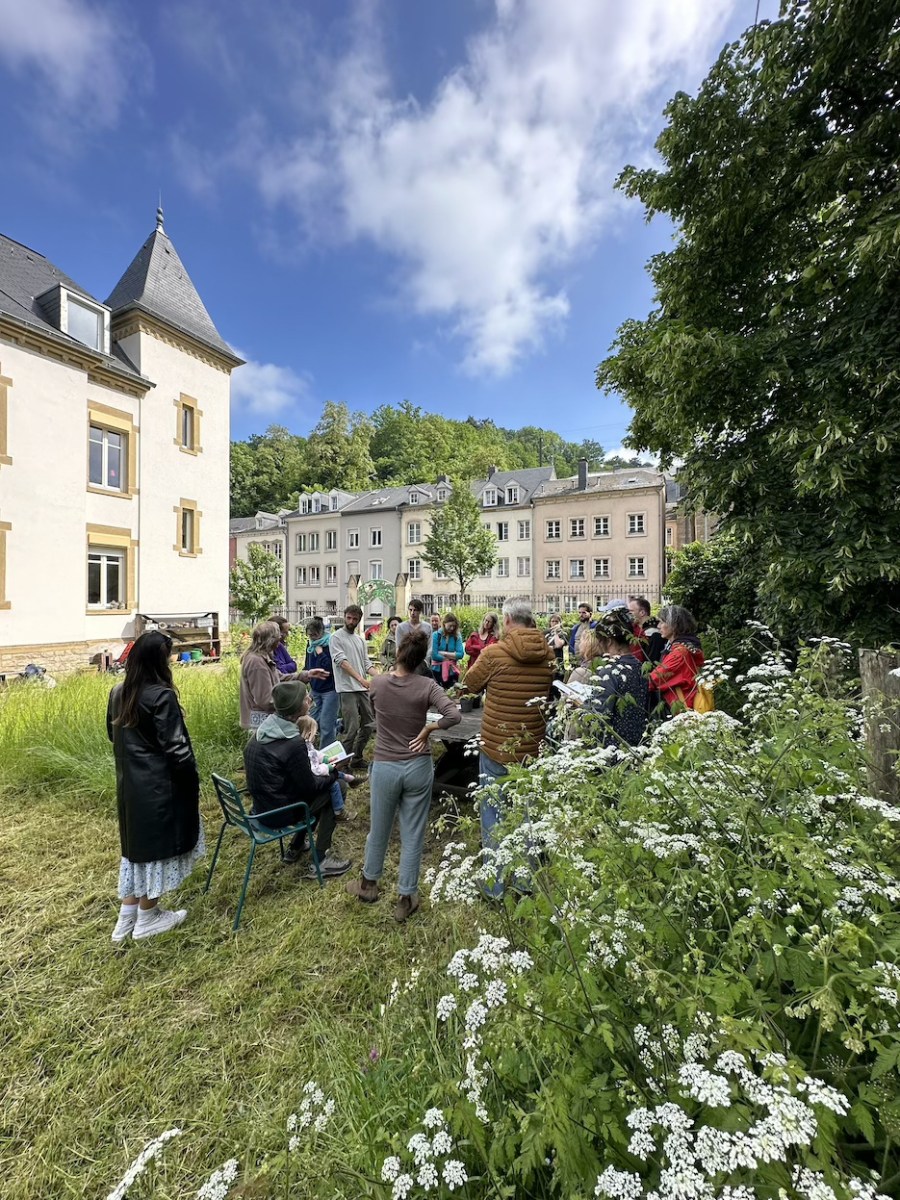 25/05/24 – Atelier : Plantes vivaces – Un jardinage sans tracas – Retour en&nbsp;images