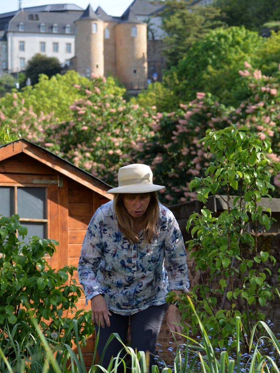 27/07/24 – Eng Erzielwanderung mam Melissa&nbsp;🗝️