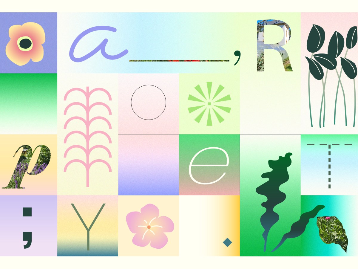 24/08/24 – Atelier : Time Capsule from the Nature – Drawing and Poetry on a Postcard&nbsp;☘️