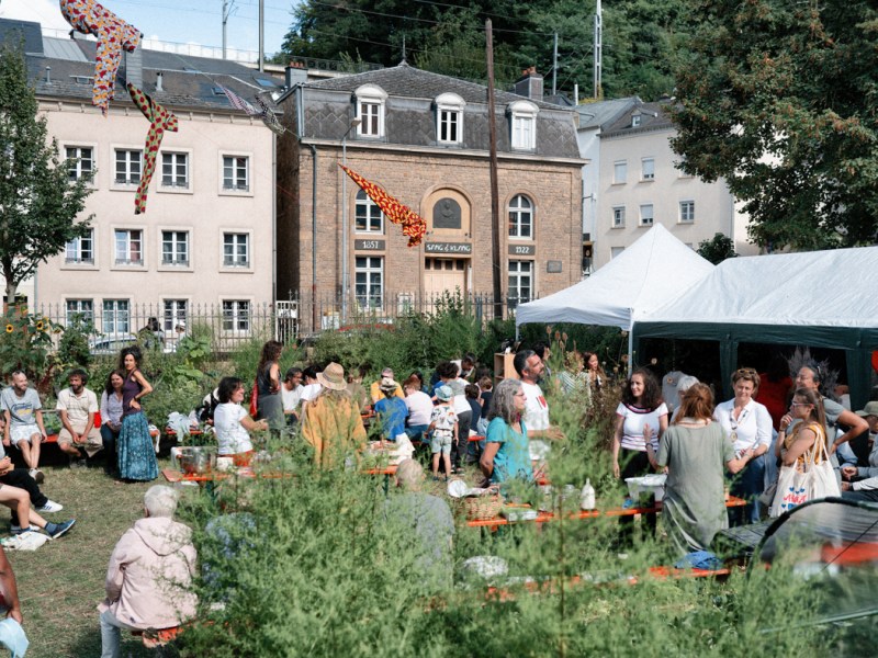 08/09/24 – Rendez-Vous am Gaart Canopée – Retour en&nbsp;images