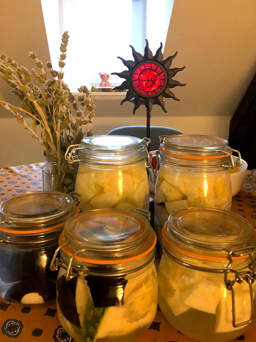 23/11/24 – Atelier : L’art de la lacto-fermentation – Retour en&nbsp;images