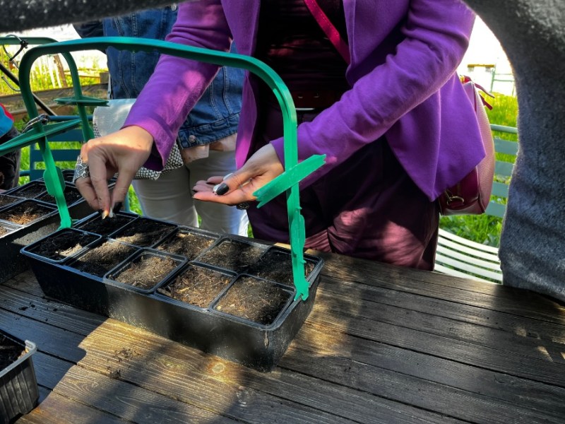 Retour en images : Atelier Tout sur le haricot Orteil du&nbsp;Prêcheur