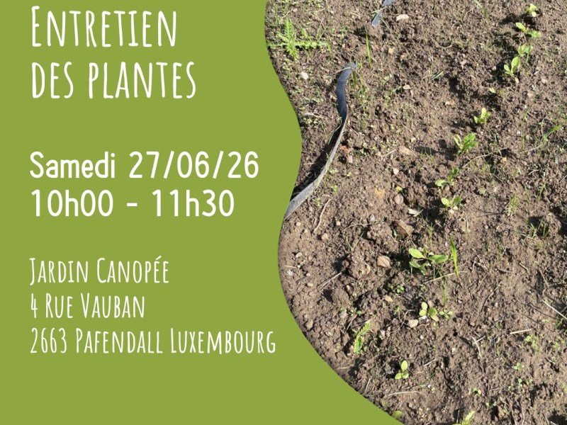 27/06 Atelier entretien des&nbsp;haricots