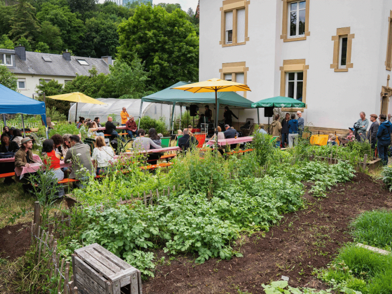 Retour en images : Rendez-vous au jardin de&nbsp;Canopée