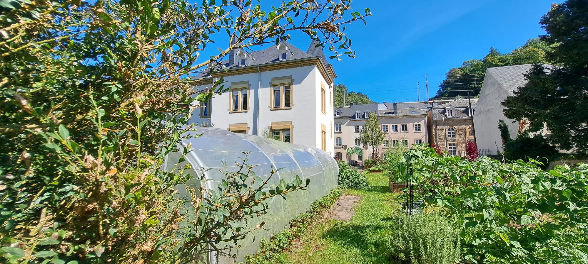 20/09/26 : Canopée participe à l&rsquo;Oekofest
